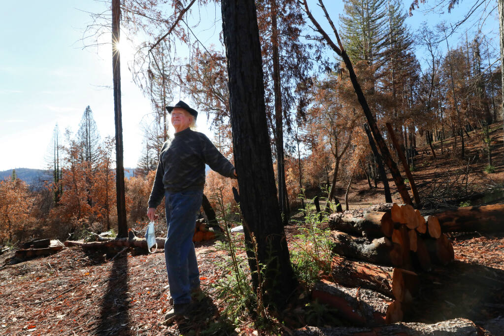Sam Salmon is considering environmentally friendly options on what to do with his 40-acre property and the trees burned in the Walbridge fire along Cloud Ridge Road, near Healdsburg. (Christopher Chung/ The Press Democrat)