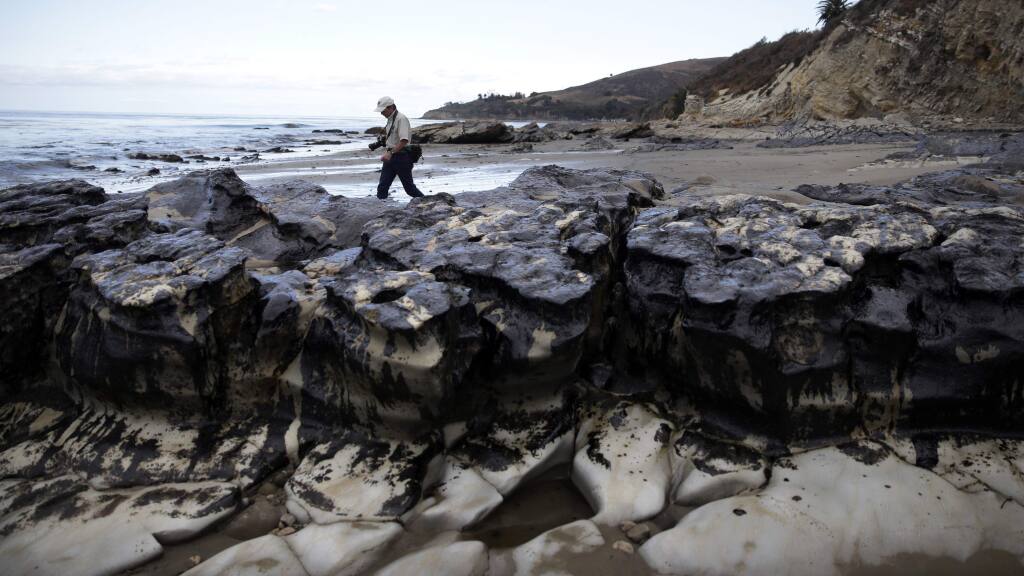FILE - In this May 21, 2015 file photo, David Ledig, a national monument manager from the Bureau of Land Management, walks past rocks covered in oil at Refugio State Beach, north of Goleta, Calif. Plains All American Pipeline, the Texas company whose ruptured pipeline created the largest coastal oil spill in California in 25 years, had assured the government that a break in the line was 'extremely unlikely' and state-of-the-art monitoring could quickly detect possible leaks and alert operators, documents show. Nearly 2,000 pages of records filed with state regulators by the company detail an extensive range of defenses the company established to guard against crude oil spills and, at the same time prepare for the worst should a spill occur. The 6-inch breach along a badly corroded section of the line loosed up to 101,000 gallons of crude oil last month, blackening beaches and creating a 9-mile ocean slick.(AP Photo/Jae Hong, File)