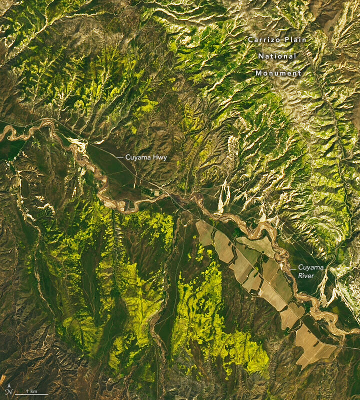 This image, acquired by the Operational Land Imager-2 (OLI-2) on the Landsat 9 satellite, shows the desert blooming in Carrizo Plain National Monument April 6, 2023. (NASA)
