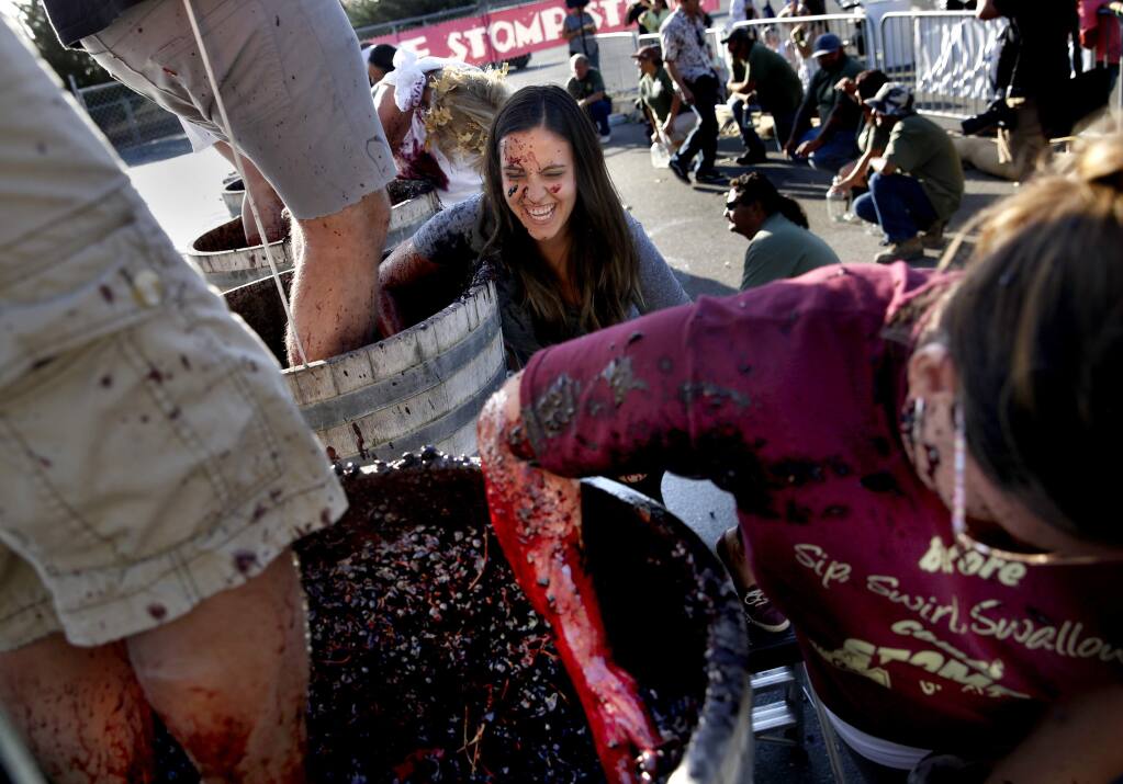 The World Championship Grape Stomp will take place at the Sonoma Harvest Fair on Oct. 15. (BETH SCHLANKER / The Press Democrat, 2015)