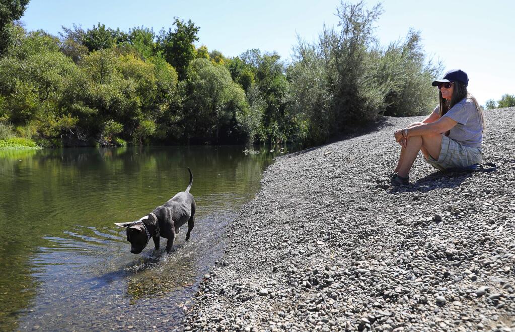 Tiana Lee lets her dog, Nala, play in the Russian River at Steelhead Beach Regional Park, after Sonoma County Department of Health Services removed algae warning signs on Thursday, September 14, 2017. (Christopher Chung/ The Press Democrat)