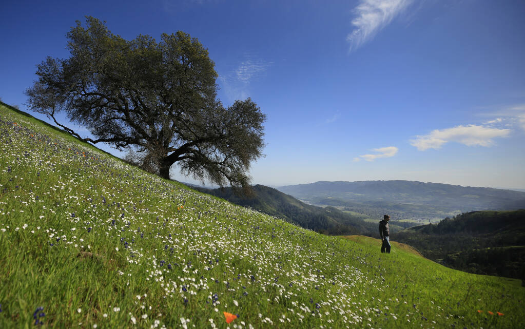 Sonoma County Regional Parks director Bert Whitaker takes in the beauty of the Fitzsimmons Ranch, a 200-acre addition to the Hood Mountain Regional Park near Kenwood, Friday, April 2, 2021. Background right is Sonoma Mountain.   (Kent Porter / The Press Democrat)