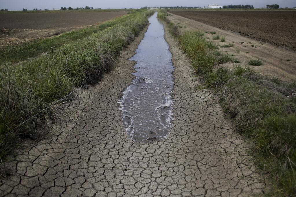 In this May 1, 2014 photo, irrigation water runs along the dried-up ditch between the rice farms to provide water for the rice fields in Richvale, Calif. A federal agency said Friday it will not release water for most Central Valley farms this year, forcing farmers to continue to scramble for other sources or leave fields unplanted. (AP Photo/Jae C. Hong)