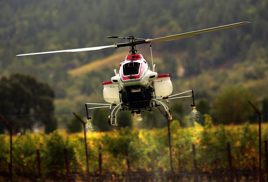 Researchers at the U.C. Davis Oakville Station are studying whether drones would be economically effective applying fertilizers or pesticides to vineyards. A Yamaha RMAX helicopter was fitted with sprayers containing water for a demonstration on Wednesday. (JOHN BURGESS/ PD)