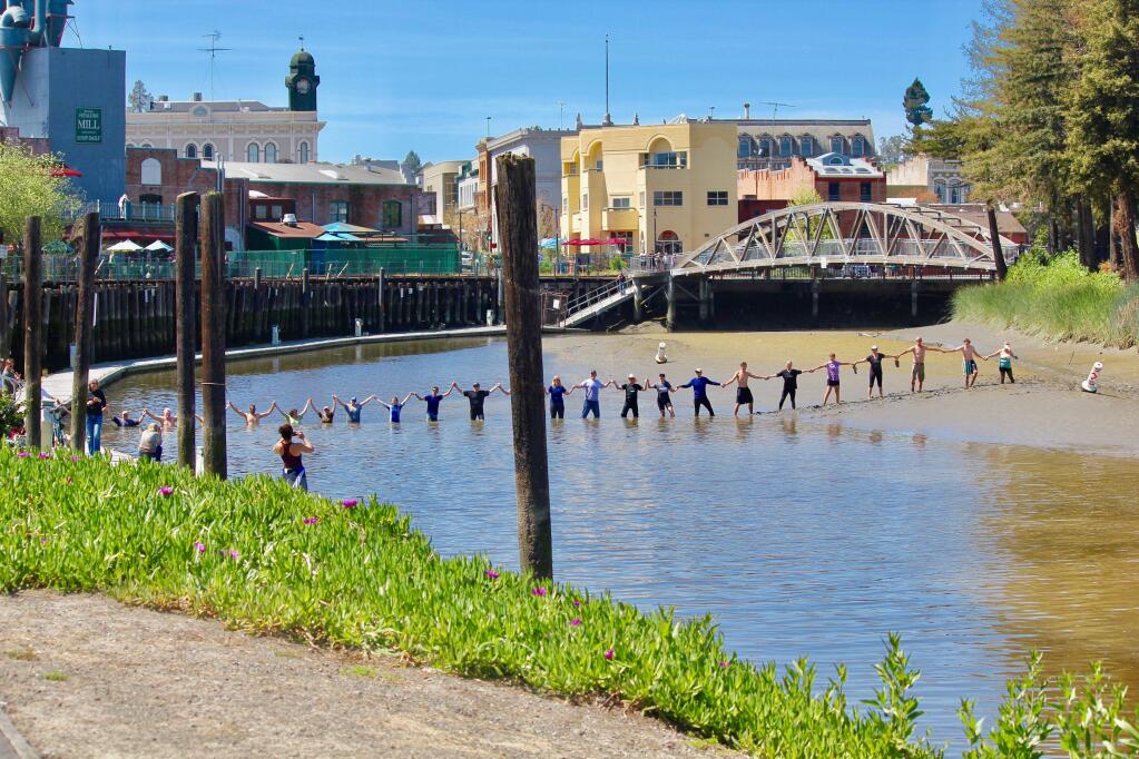 Petaluma River enthusiasts demonstrate how shallow the river has become due to a lack of dredging on April 1. STEFANY HOPKINS