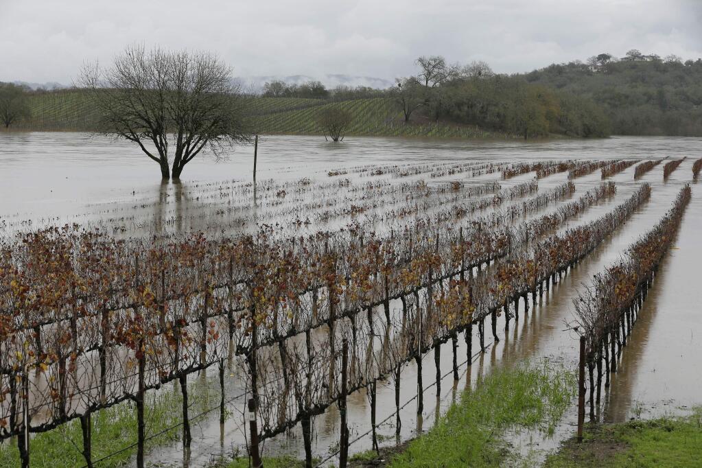 (FILE PHOTO) Floodwaters partially submerge pinot noir vines in Nonny's Vineyard along River Road in Forestville, Calif. on Friday, Dec. 12, 2014. A storm later this week could trigger flooding in low lying areas and along the lower Russian River. (AP Photo/Eric Risberg)