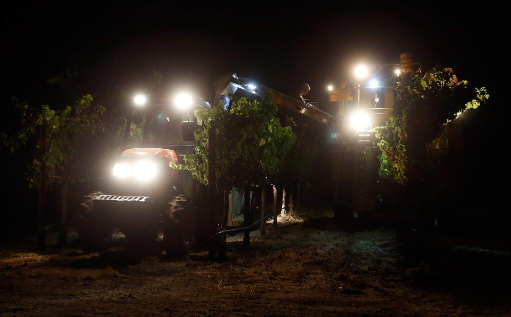 A Munselle Vineyards crew uses a mechanical harvester to pick cabernet sauvignon grapes through the night at Stone Ranch vineyard in Alexander Valley, in Geyserville, California on Wednesday, September 28, 2016. (Alvin Jornada / The Press Democrat)