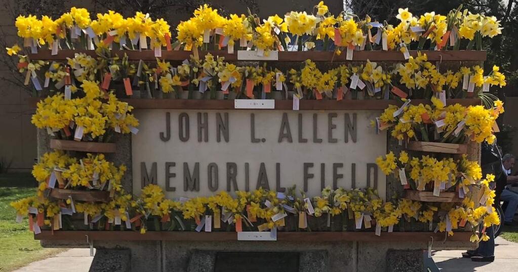 For the 10th year, 'Daffodil Man' Merle Reuser distributed bunches of cut daffodils to Cloverdale High students to honor the memory of student Courtney Davis, who died in 2008, and all the other Cloverdale High students lost to cancer. The more than 5,000 daffodils were distributed as the students walked to lunch.