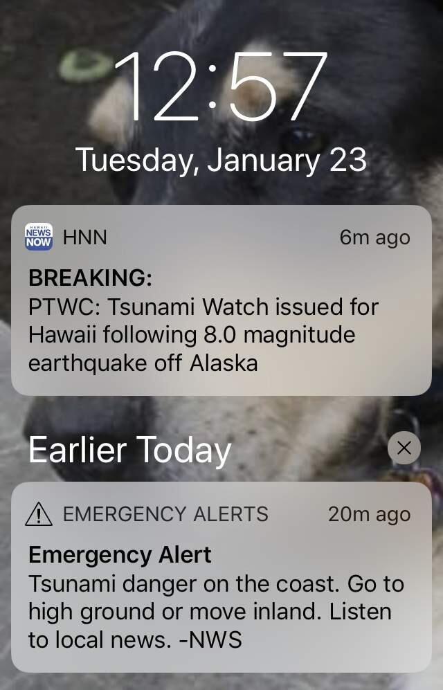 This screenshot shows alerts for a tsunami watch early Tuesday, Jan. 23, 2018, after an earthquake struck off Alaska's Kodiak Island prompting a tsunami warning for a large swath of the state's coast. Officials at the National Tsunami Center canceled the warning after a few tense hours after waves failed to show up in coastal Alaska communities. (AP Photo)