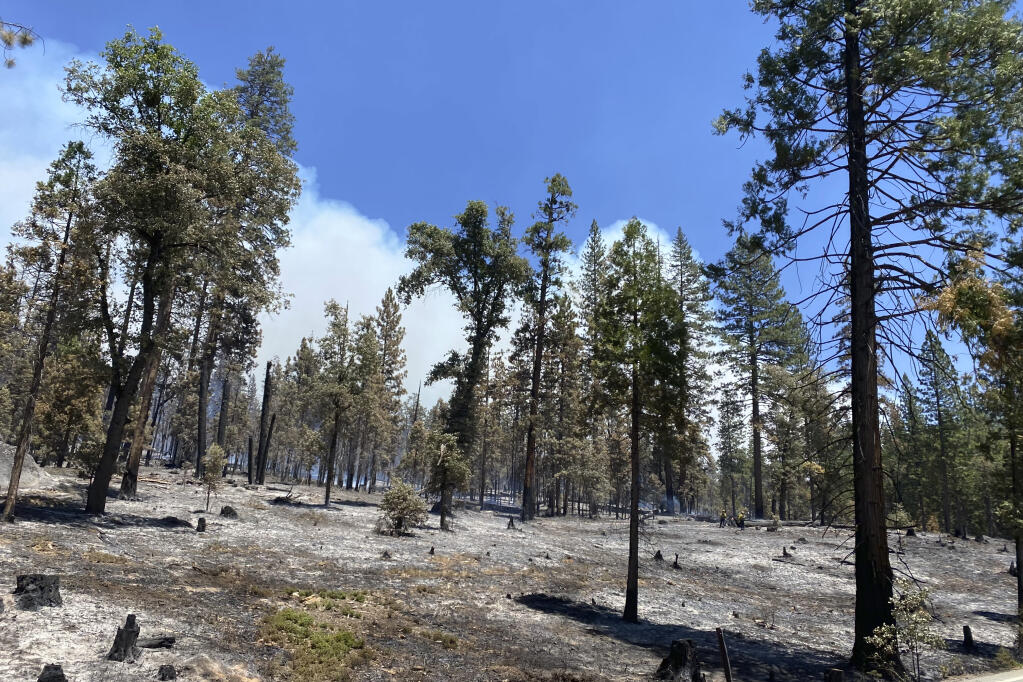 In this photo provided by the National Park Service, smoke from the Washburn Fire rises in the Studhorse area of Yosemite National Park, Calif., Wednesday, July 13, 2022. A wildfire that threatened a grove of California's giant sequoias in Yosemite National Park is burning eastward into the Sierra National Forest. The Washburn Fire grew to 5.8 square miles, decreasing containment Wednesday from 22% to 17%. (National Park Service via AP)