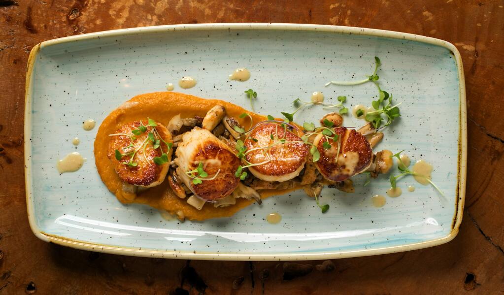 Seared Day Boat Scallops with Carrot Puree, Local Mushrooms, Micro Greens and Baby Carrots at the Coast Kitchen in the newly remodeled Timber Cove Lodge on the Sonoma Coast. (John Burgess/The Press Democrat)