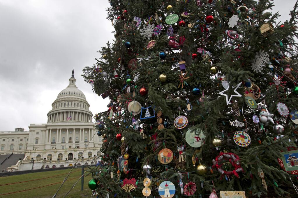 The Capitol Christmas tree is seen outside of The U.S. Capitol in Washington, Friday, Dec. 21, 2018. (AP Photo/Jose Luis Magana)