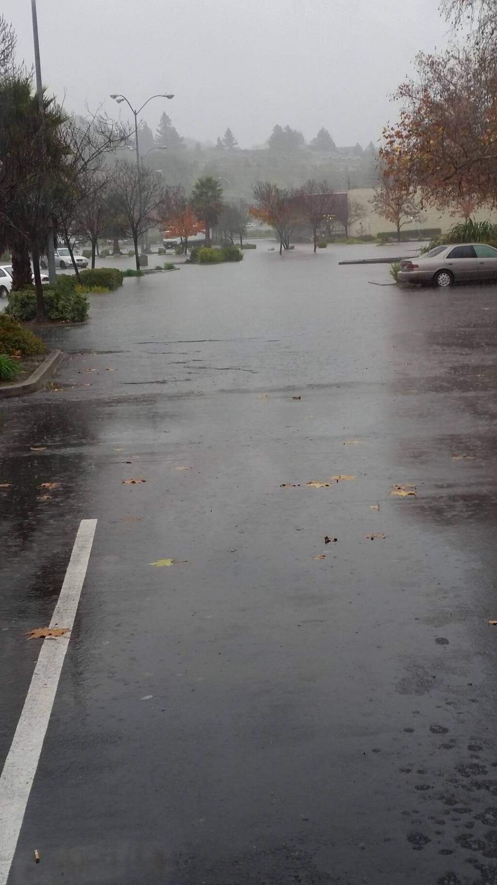 The Kmart parking lot on Industrial Drive in Santa Rosa flooded on Thursday, Dec. 15, 2016. (SUBMITTED BY LUCIANNA DAVIS)