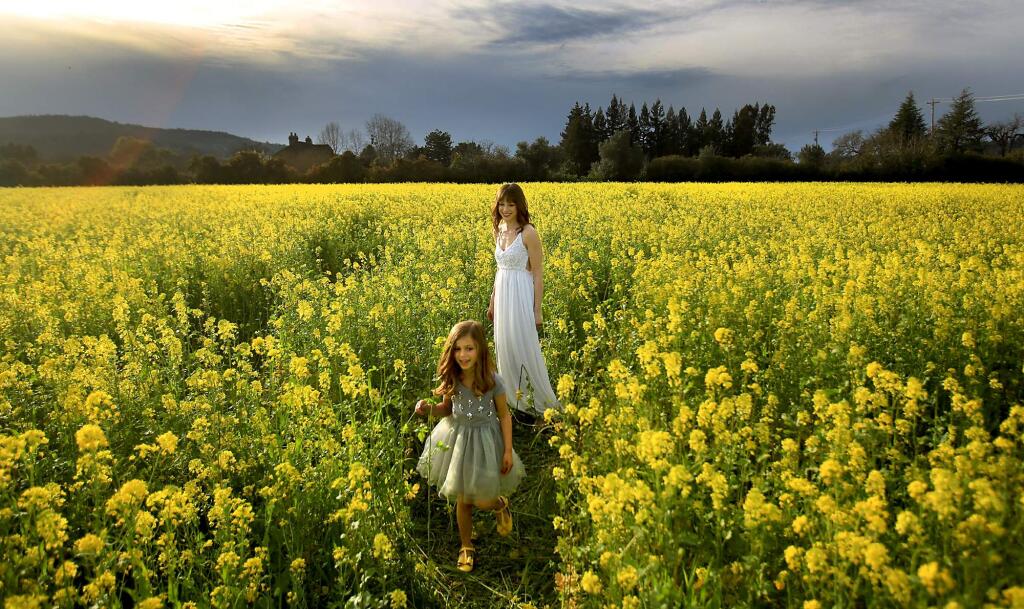 Lielle Smallcomb, 5. and her mother Jennie of Santa Rosa take advantage of the warm weather to relax in a mustard field near Kenwood, Monday Feb. 29, 2016 as they prepare to model dresses for a commercial photographer. (Kent Porter / Press Democrat) 2016