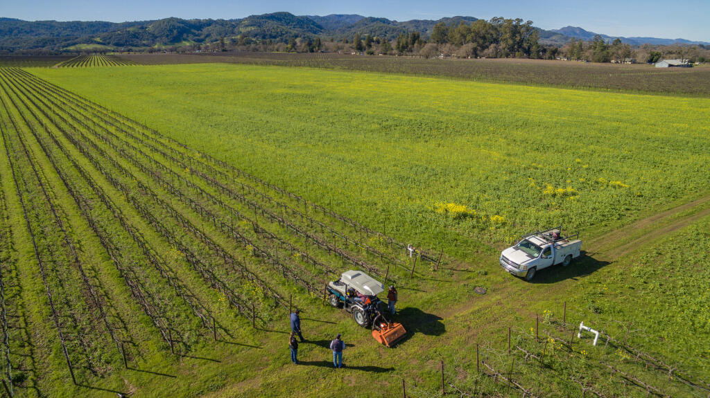 Trefethen Family Vineyards has taken delivery on two MK-V Monarch all electric tractors at their Napa Valley facility near Oakville Feb. 6, 2023.  Director of Viticulture Brendan Brambilia works with his crew to calibrate the tractor for mowing. (Chad Surmick / The Press Democrat)