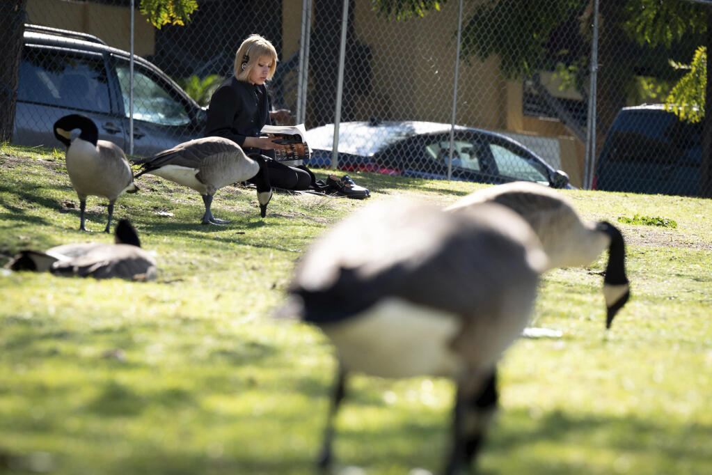 A perfect day for reading outdoors among the geese at Echo Park Lake In Los Angeles, Wednesday, Feb. 9, 2022. With temperatures predicted to be far above normal in much of Southern California, the National Weather Service upgraded a heat watch to a heat advisory lasting from late Wednesday morning through Sunday. (David Crane/The Orange County Register/SCNG via AP)