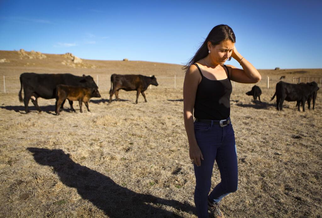 Pamela Torliatt, co-owner of Progressive Pastures, a cattle ranch in Tomales that provides locally-sourced grass-fed beef to Petaluma Market is being forced to close their business after Marin Sun Farms told them that they will no longer slaughter animals from farms other than their own. (CRISSY PASCUAL/ARGUS-COURIER STAFF)