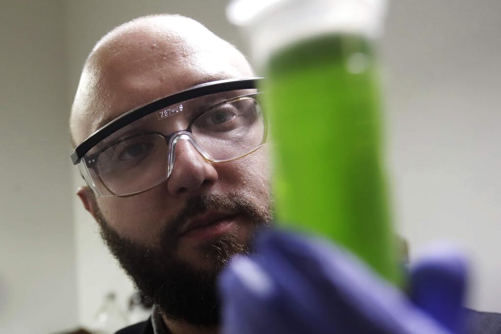 In this Friday, Aug. 16, 2019, photo, chemist David Dawson holds up a vial of extracted cannabis with an organic solvent as he demonstrates testing for THC and other chemicals at CW Analytical Laboratories in Oakland, Calif. Chemists are trying to solve a scientific mystery involving marijuana brownies. Chocolate seems to throw off test results for potency. That could be dangerous for consumers looking to relax, not hallucinate. (AP Photo/Jeff Chiu)