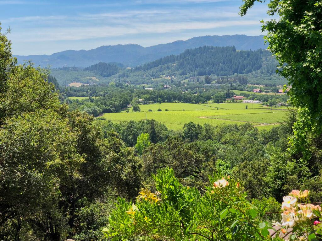 View of Napa Valley from Rombauer Vineyards's tasting room (JEFF QUACKENBUSH / NORTH BAY BUSINESS JOURNAL) May 18, 2018