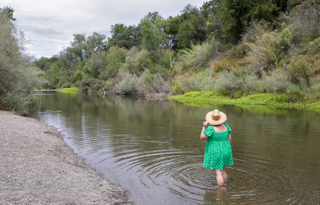 Hannah Rogers wades into the Russian River at Steelhead Beach Regional Park in Forestville on Monday, Aug. 1, 2022. (Christopher Chung/The Press Democrat)