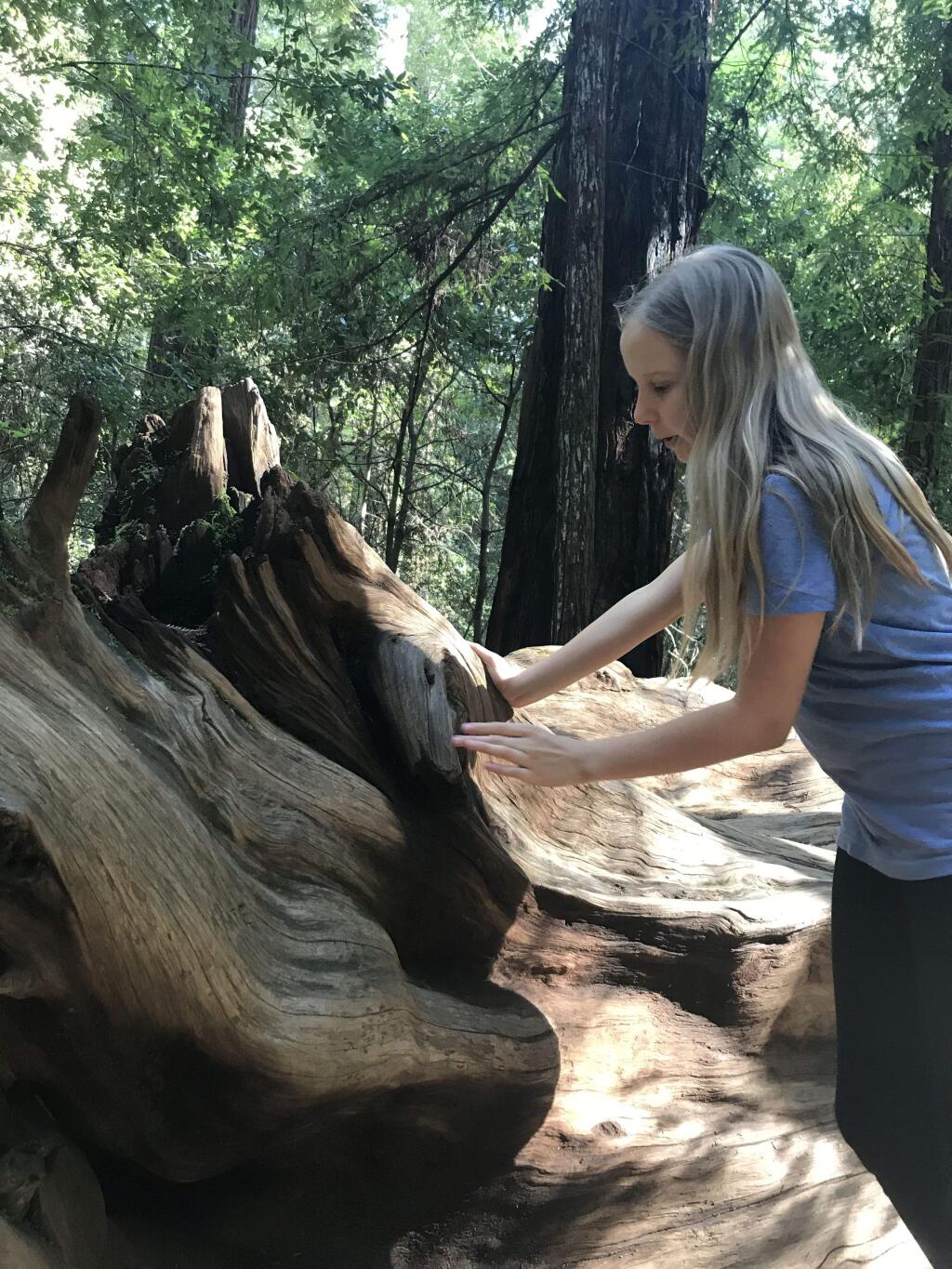 Ramona Hymn's homeschooling includes volunteering with Stewards of the Coast and Redwoods where she's studied redwood ecology, tide pool docent training and helped run the mobile education and visitor centers. Soneile Hymn