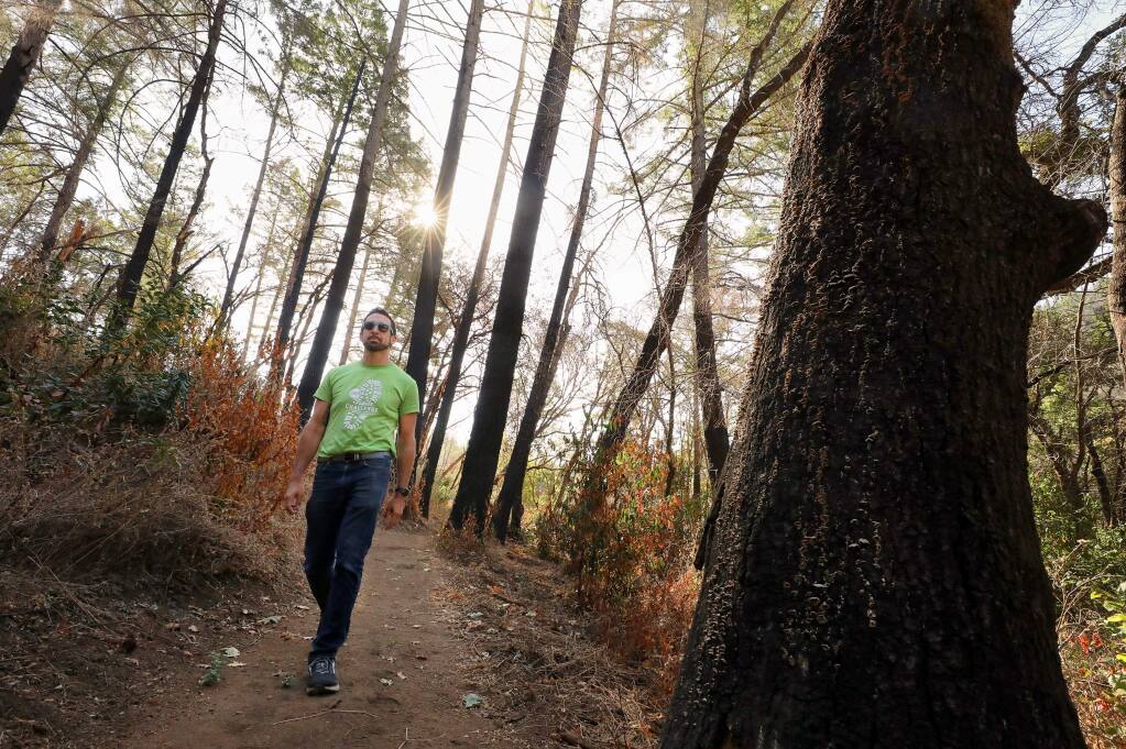 Justin Borton, a Sonoma County Parks Foundation board member, walks through the proposed Mark West Creek Regional Park & Preserve near Santa Rosa on Wednesday, Sept. 11, 2019. Borton, a self-appointed parks advocate, challenged himself to visit 55 regional parks in 55 days. (Christopher Chung/ The Press Democrat)