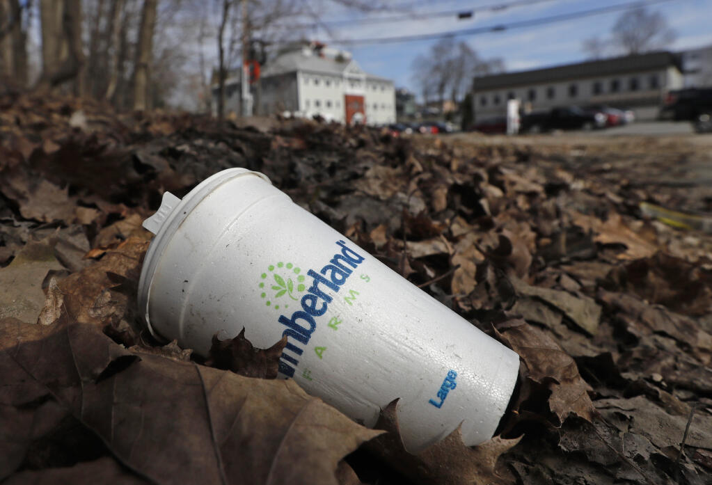 A coffee cup made from polystyrene foam lies on the side of a road, Wednesday, May 1, 2019, in Augusta, Maine. Gov. Janet Mills signed a bill into law Tuesday, April 30 making Maine one of the first states to ban single-use containers made from polystyrene foam. (AP Photo/Robert F. Bukaty)