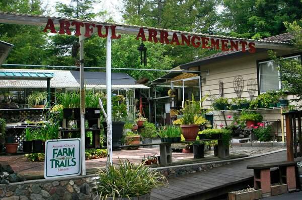 Artful Arrangements's Winter greenhouse and gift shop in Penngrove during Down Home Day Sunday, May 31, 2015. ( JOHN O'HARA/FOR THE ARGUS-COURIER)