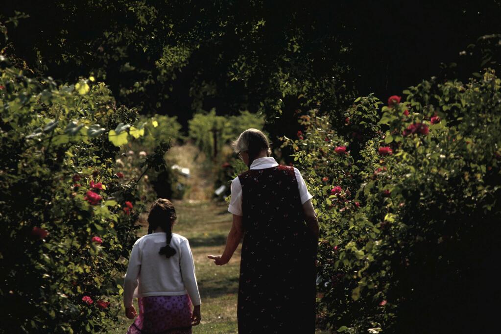 Ann CarranzaNine-year-old Kylah Picott strolls down the rose alleé at Russian River Rose Company with owner Jan Tolmasoff looking for signs of fairies.