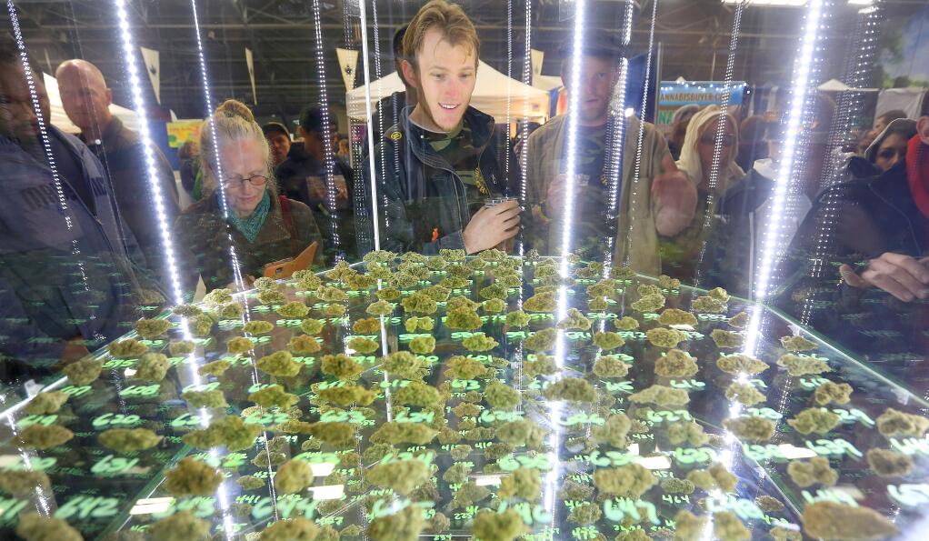 KENT PORTER / The Press DemocratFestival goers at the Emerald Cup view marijuana buds that were entered into the competition.