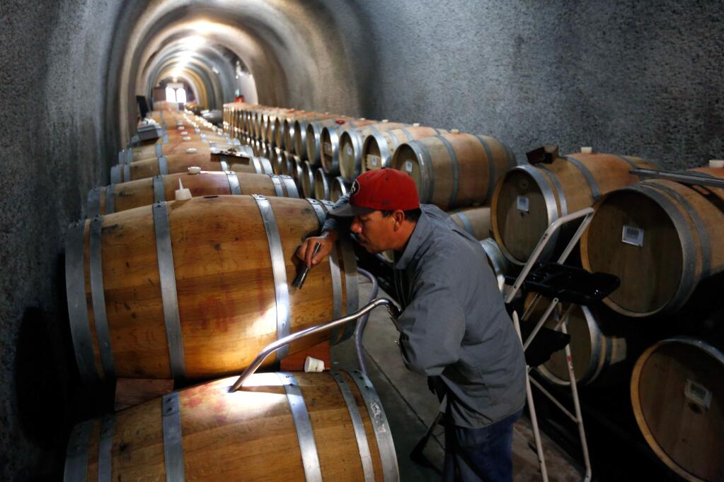 Cellar worker Raul Cortez peers into a barrel as he fills it with the 2015 vintage of merlot wine, where it will stay for about 16 months, in the Gundlach Bundschu wine cave in Sonoma, California on Thursday, October 15, 2015. (Alvin Jornada / The Press Democrat)