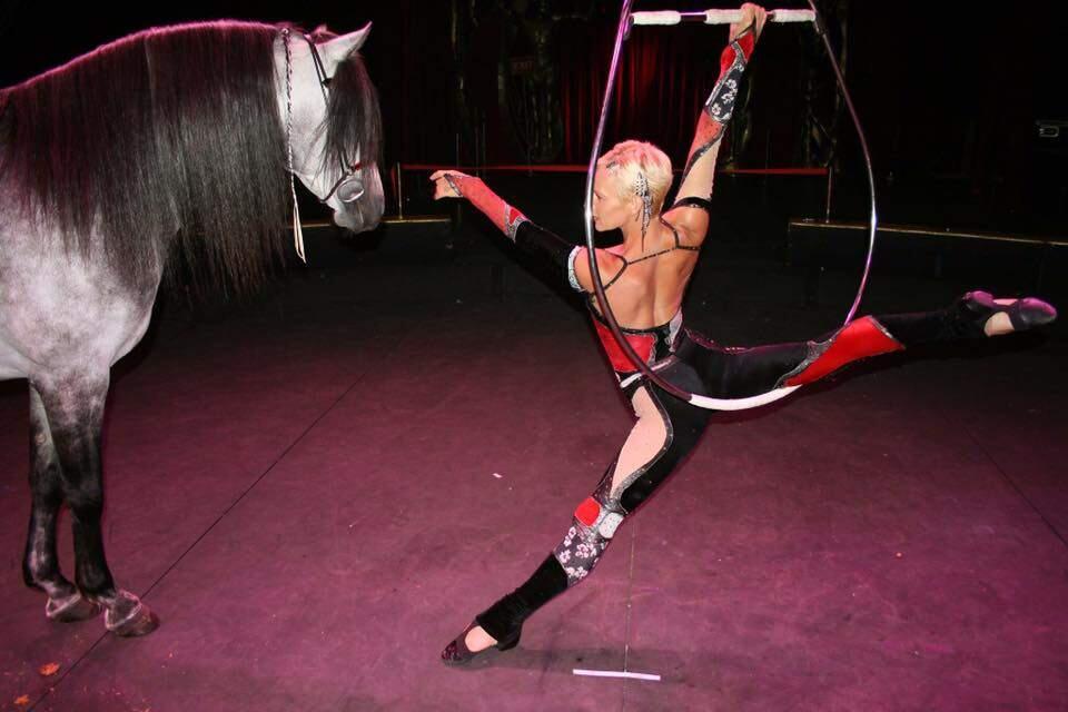 Horse of a different color: Both aerial and equine entertainers will take the stage next Saturday night.