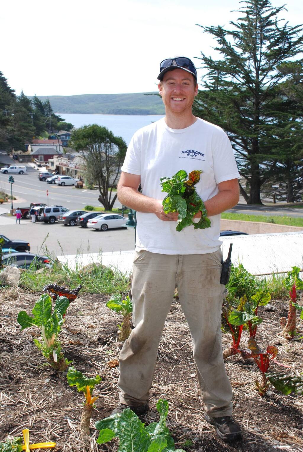 -Lucas Shapiro says that by late April, about half of the Nick Cove restaurant's produce comes from the garden.