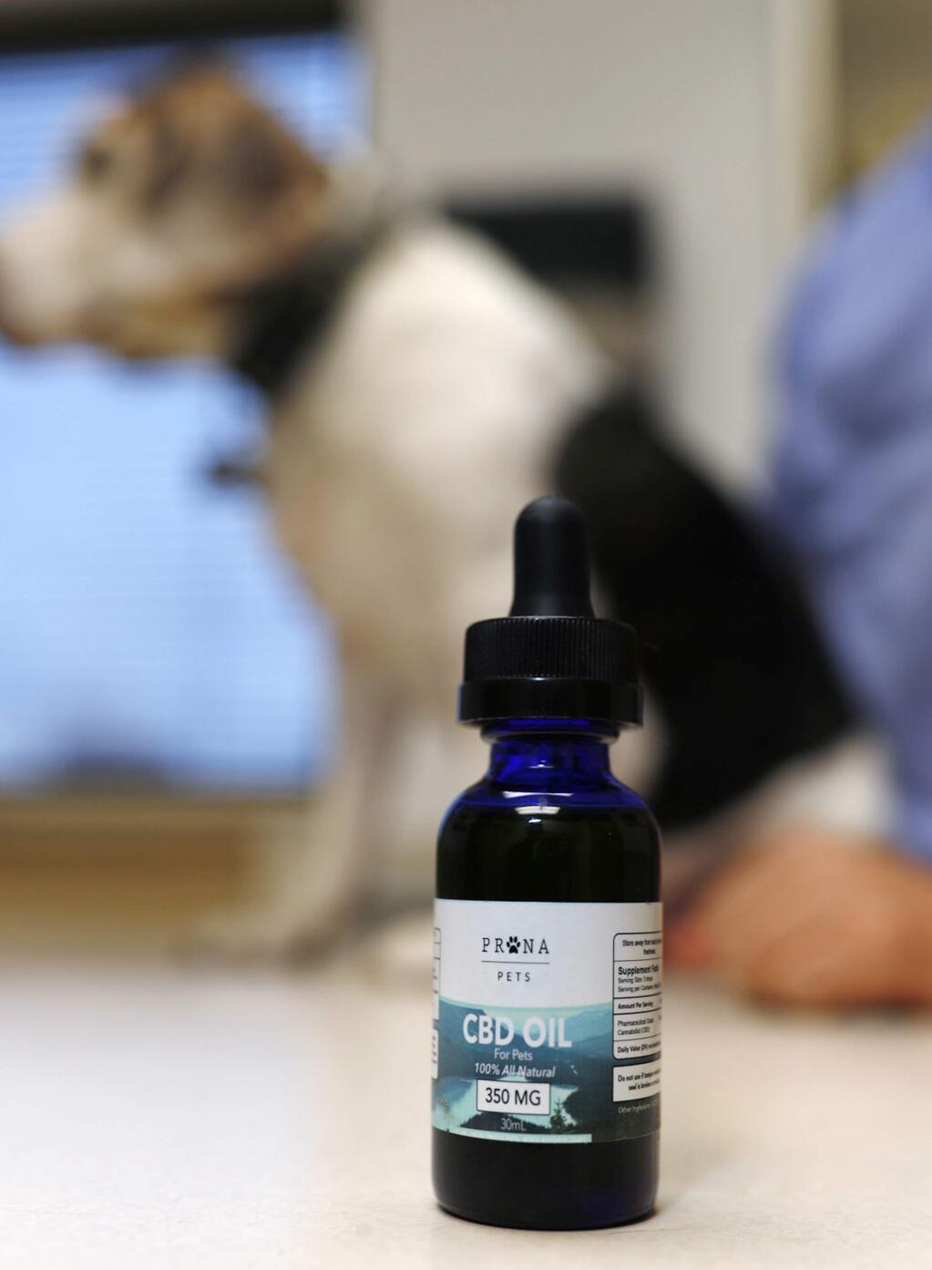 In this Monday, Oct. 30, 2017, photo, a bottle of CBD oil sits on a counter after Luke Byerly administered a dose of the liquid to his 14-year-old beagle, Robbie, during a break at Byerly's job as a technician at a veterinary clinic in east Denver. People anxious to relieve suffering in their pets are increasingly turning to oils and powders that contain CBDs, a non-psychoactive component of marijuana. (AP Photo/David Zalubowski)