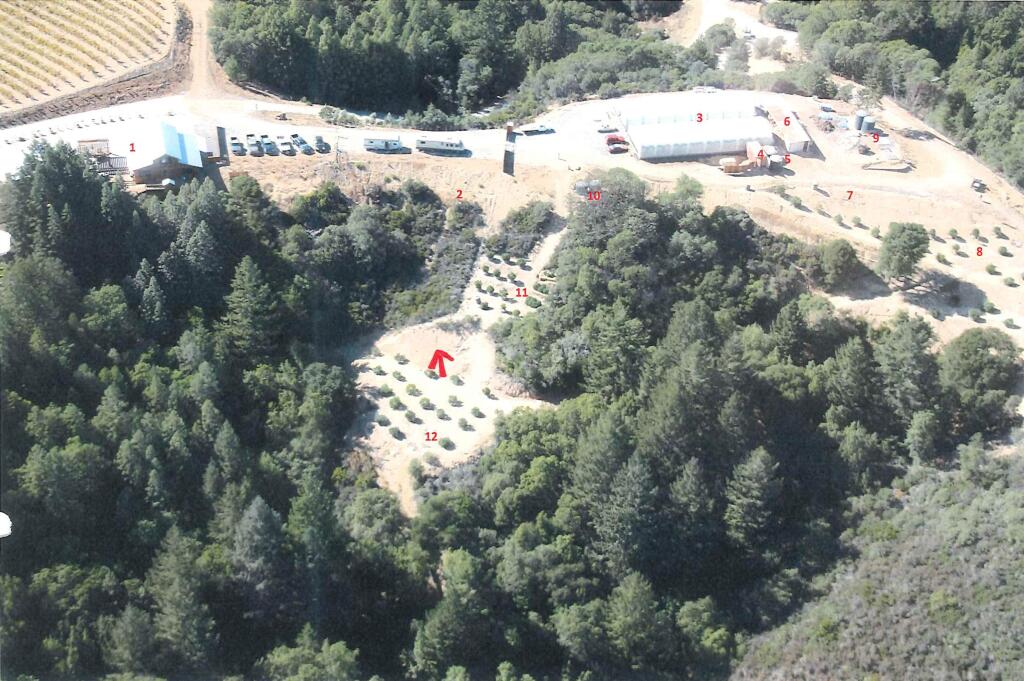 An aerial shot shows where pot is being grown near Cloverdale. The two greenhouses are labeled with a No. 3. (COUNTY OF SONOMA)