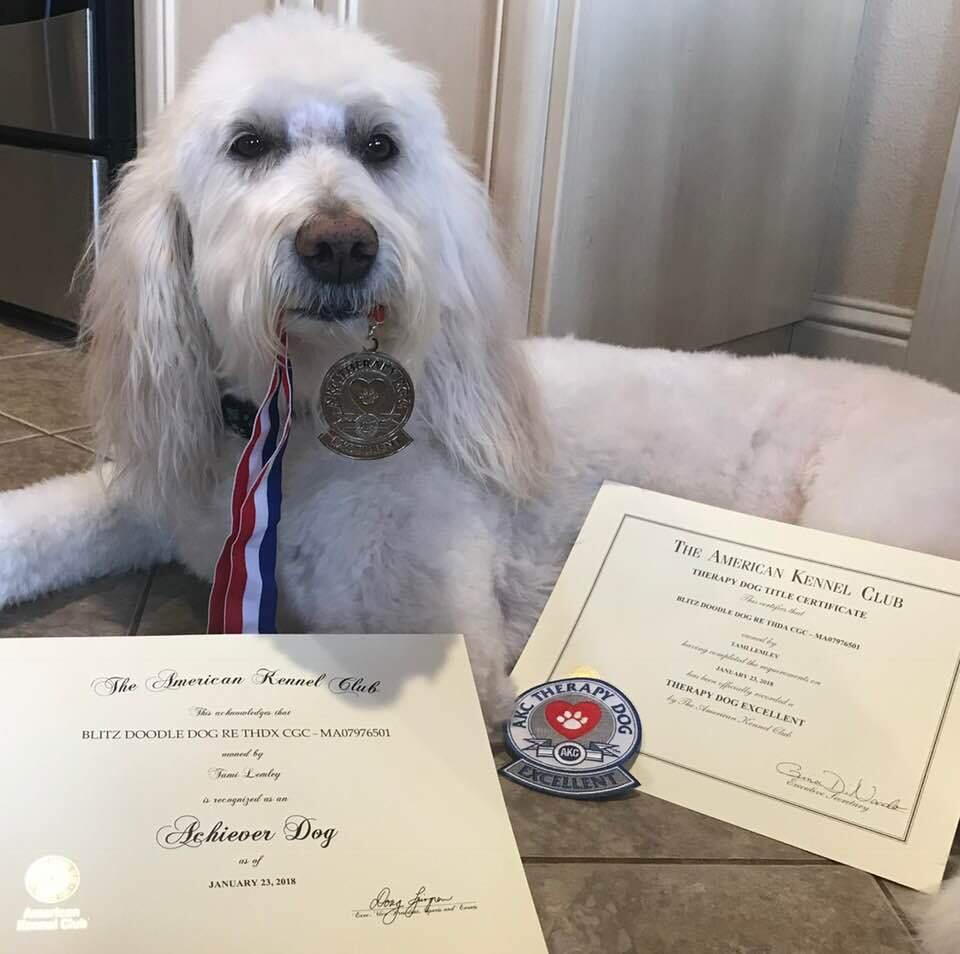 Blitz with his Therapy Dog Excellent title, medal and patch. (TAMI LEMLEY)