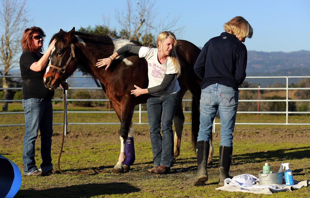 PHOTO: 2 by JOHN BURGESS / The Press Democrat -Rene Raymond, from left, Tina Styles and Libby Nelson tend to Beau, one of three horses their group has rescued in Cloverdale.