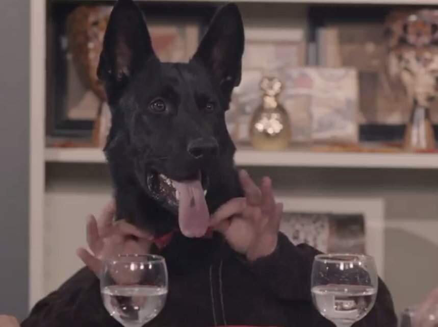 A screenshot from video posted to Facebook by the Placer County Sheriff's Office featuring police dogs at Thanksgiving dinner. (PLACER COUNTY SHERIFF'S OFFICE/ FACEBOOK)