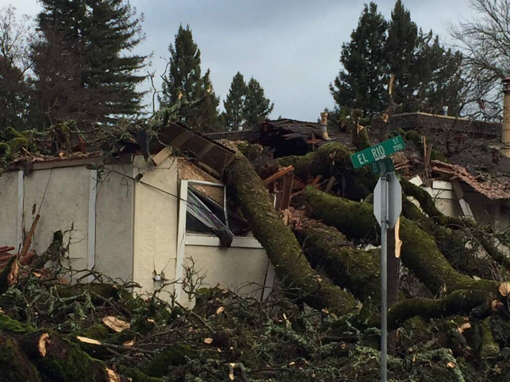 A tree crashed into a Ukiah home, killing a woman that lived there on Saturday, Jan. 21, 2017. (COURTESY OF UKIAH FIRE DEPARTMENT)
