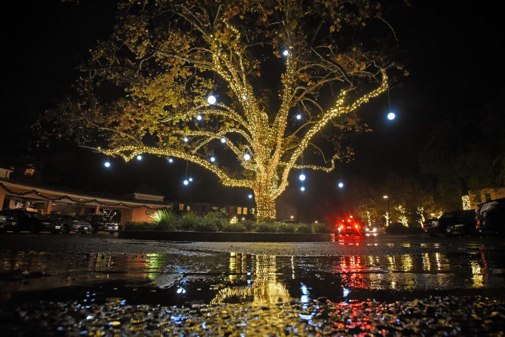 The 100-year-old sycamore lit up under a light rain that kept most of the activities indoors during the annual Tree Lighting Ceremony held Saturday at the Fairmont Sonoma Mission Inn & Spa in Sonoma, California. November 30, 2019.(Photo: Erik Castro/for The Press Democrat)
