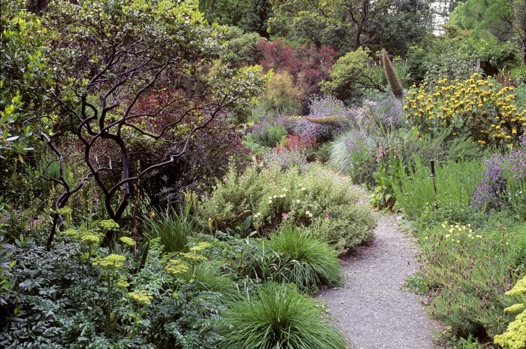 A gravel path meanders through a demonstration garden of drought-tolerant plants, in this image from the recent book, “Gardening in Summer-Dry Climates: Plants for a Lush, Water-Conscious Landscape,” by Nora Harlow. (Saxon Holt)