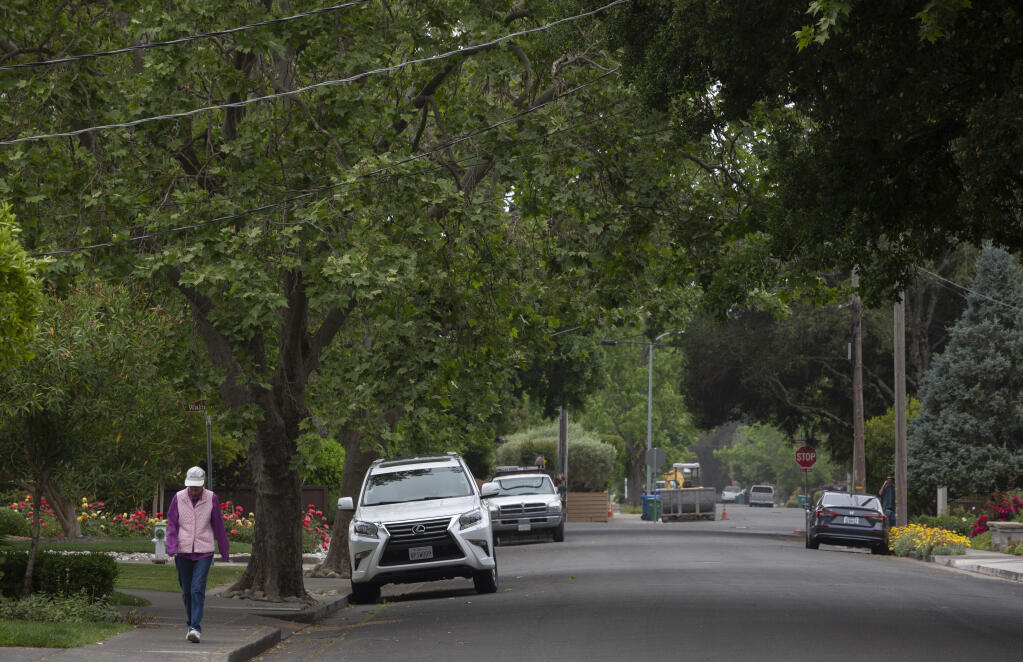 Thick tree coverage keeps the east side of Sonoma cool, pictured on Second Street East on Tuesday, May 23, 2023. (Robbi Pengelly/Index-Tribune)