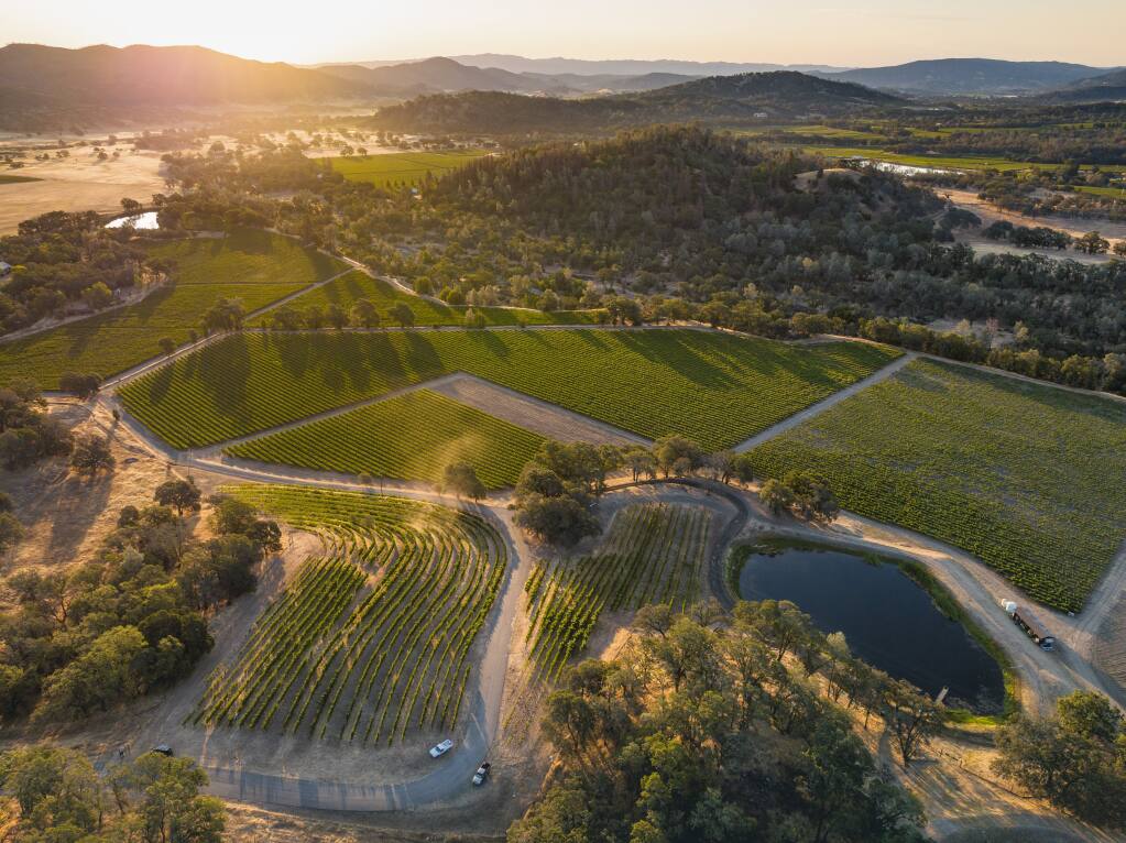 PlumpJack Group purchased this 129-acre vineyard in northeast Napa County’s Pope Valley. (Jak Wonderly photo)
