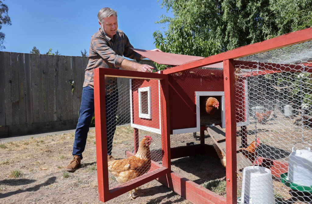 Eric Strother shows one of the chicken tractors he rents to people interested in owning their own chickens, at this property in Sebastopol on Monday, July 18, 2022. Strother provides customers with the small coop, two chickens and feed for the chickens. (Christopher Chung/The Press Democrat)