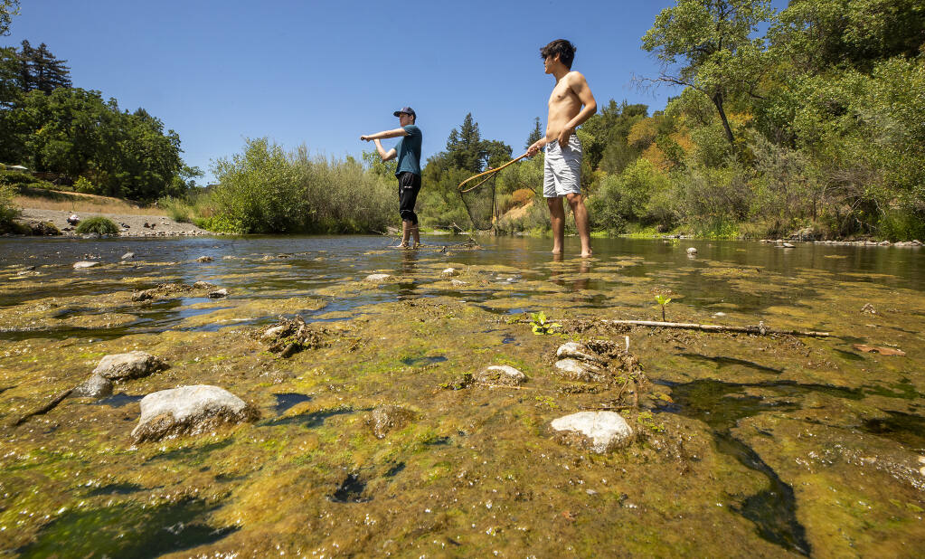 Jasper Ro, left, and Dias Belda of Berkeley standing in the middle of the shallow Russian river containing algal blooms, foreground, that can be harmful to children and dogs at Rio Dell Woods Regional Park in Healdsburg on Tuesday, June 22, 2021.  (John Burgess/The Press Democrat)