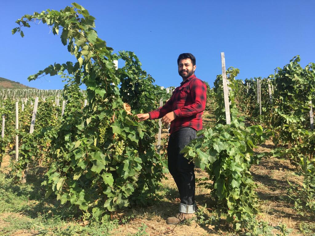 Kevin Valencia works at Tokaj-Hetszolo Vineyards in Tokaj, Hungary in 2018. He was awarded an internship through the Sonoma-Tokaj Sister Cities program. (Courtesy of Sylvia Toth)