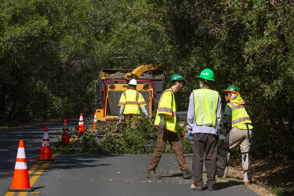In work sponsored by the Grove Street Fire Safe Council, worker drags tree branches on Grove Street in Sonoma to the chipper after trimming back overhanging limbs and other potential fire fuel on Tuesday, August 10, 2021. (Photo by Robbi Pengelly/Index-Tribune)