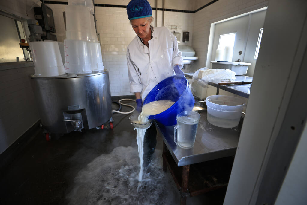 Audrey Hitchcock drains off milk as she prepares to form mozzarella cheese at Ramini Mozzarella in Marin County, Friday, June 24, 2022. (Kent Porter / The Press Democrat) 2022