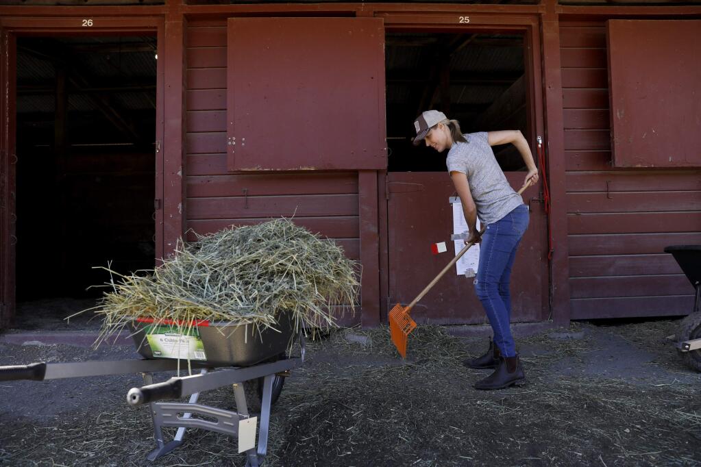 Volunteer Aimee Kilmer cleans the stalls of horses rescued from the fires at the Sonoma County Fairgrounds on Sunday, October 22, 2017 in Santa Rosa, California . (BETH SCHLANKER/The Press Democrat)