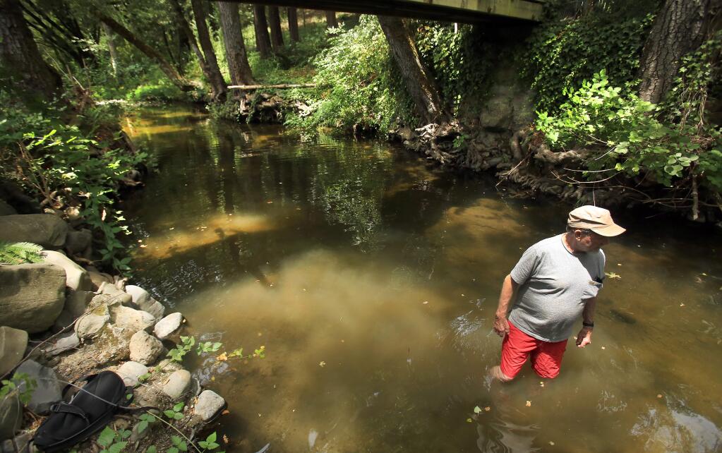Grif Okie used to swim during summer months in Mark West Creek in this pool that was up to his armpits and in some places deeper, Wednesday July 1, 2015 in Santa Rosa. Regulations are going in to effect on Monday for rural outdoor water users on four watersheds, including Mark West. (Kent Porter / Press Democrat) 2015